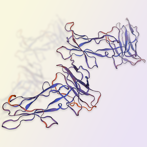 LILRB5蛋白-ACROBiosystems百普赛斯
