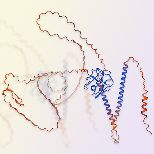 MARCO重组蛋白-ACROBiosystems百普赛斯