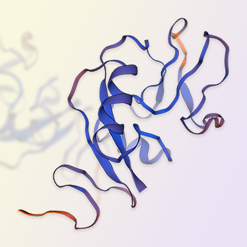 NKG2C重组蛋白-ACROBiosystems百普赛斯