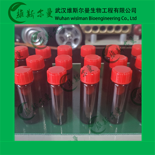 2-(5-氟-1-(2-氟苄基)-1H-吡唑并[3,4-B]吡啶-3-基)嘧啶-4,5,6-三胺-维立西呱杂质4-纯度98%-售后保障-找维斯尔曼王华