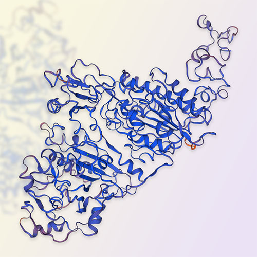 ENPP3重组蛋白，ACROBiosystems百普赛斯