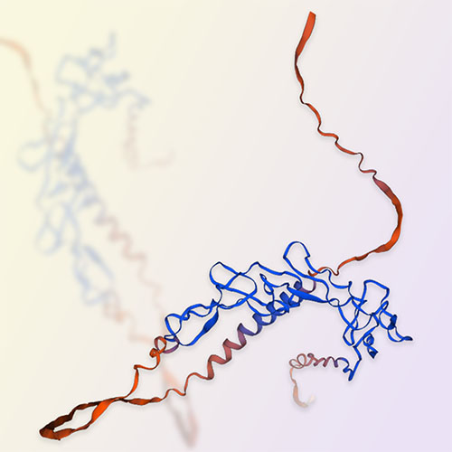 重组人OX40蛋白-ACROBiosystems百普赛斯
