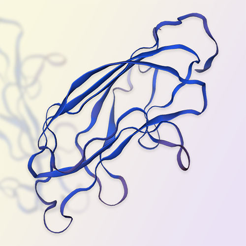 OX40L重组蛋白，ACROBiosystems百普赛斯