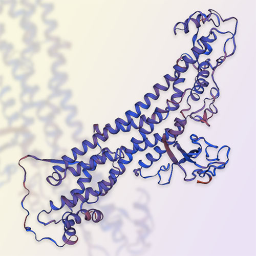 Glypican 2重组蛋白-ACROBiosystems百普赛斯