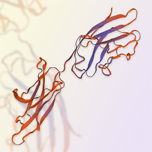 GPA33重组蛋白-ACROBiosystems百普赛斯