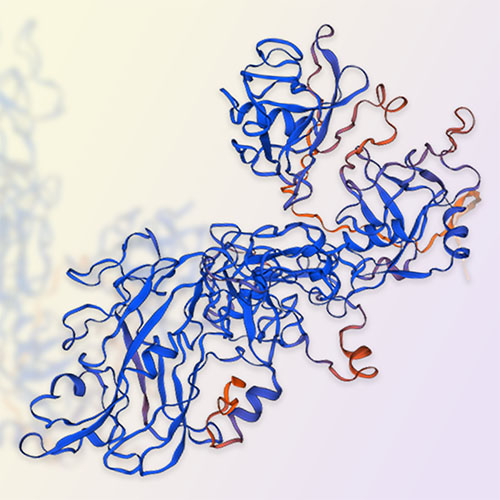 LOXL2重组蛋白-ACROBiosystems百普赛斯
