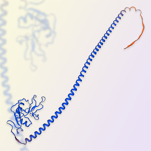 LSECtin重组蛋白-ACROBiosystems百普赛斯