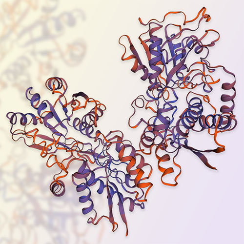 NPR1重组蛋白，ACROBiosystems百普赛斯