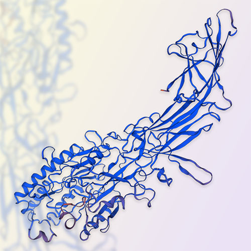 PADI2蛋白-ACROBiosystems百普赛斯