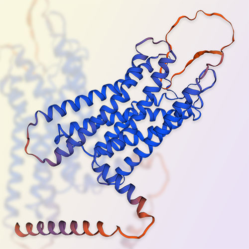 SSTR2蛋白-ACROBiosystems百普赛斯