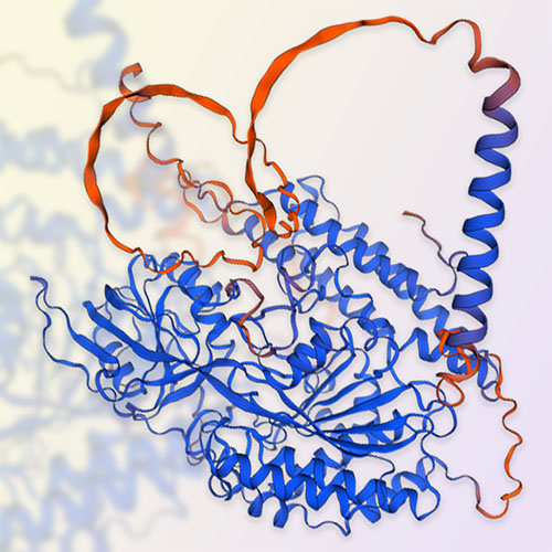 Transferrin R2/TFR2蛋白-ACROBiosystems百普赛斯