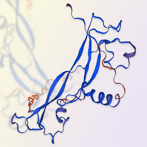 白介素IL-17C蛋白-ACROBiosystems百普赛斯