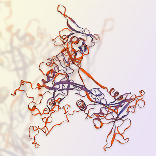 GDF2/BMP9蛋白-ACROBiosystems百普赛斯