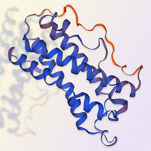 Oncostatin M/OSM蛋白-ACROBiosystems百普赛斯