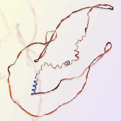 骨桥蛋白Osteopontin-ACROBiosystems百普赛斯