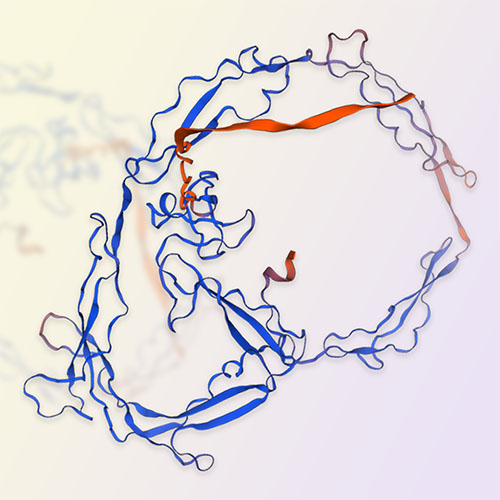 Properdin重组蛋白-ACROBiosystems百普赛斯