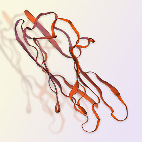 CD28H重组蛋白-ACROBiosystems百普赛斯
