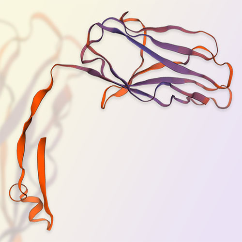 CD79A & CD79B-ACROBiosystems百普赛斯