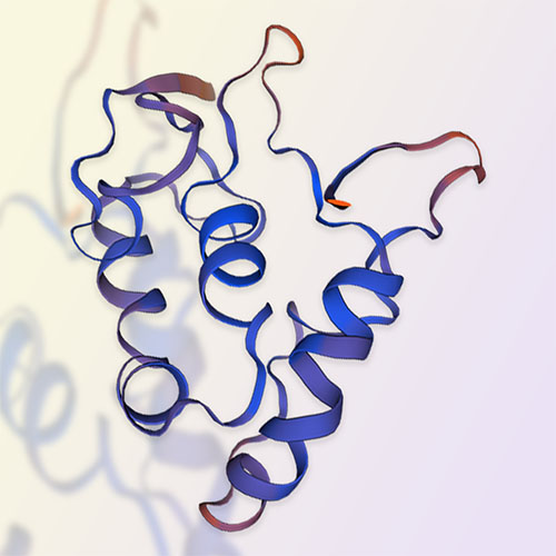 FZD7/Frizzled-7蛋白-ACROBiosystems百普赛斯