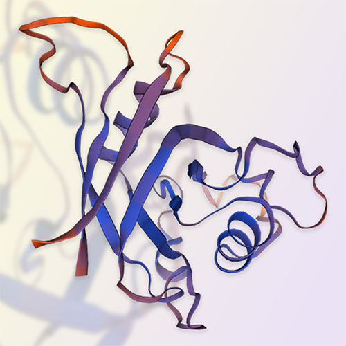 RNF43蛋白-ACROBiosystems百普赛斯