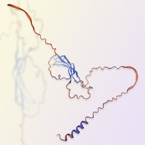 USAG-1蛋白-ACROBiosystems百普赛斯