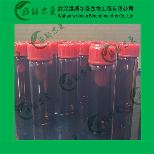 硫酸博莱霉素-硫酸博来霉素-化学试剂-纯度96%-质量保障-找维斯尔曼王华