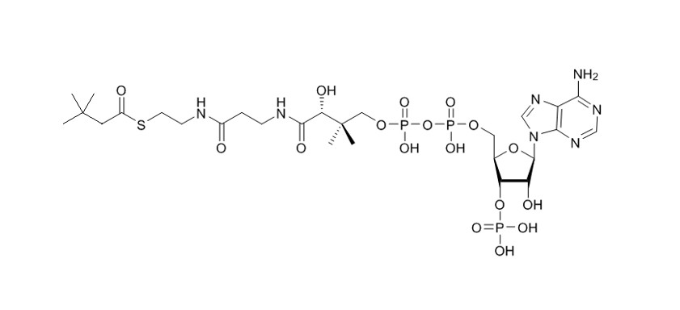 3,3-二甲基丁酰辅酶A  3-3-dimethyl-butyryl-CoA-sodium-salt