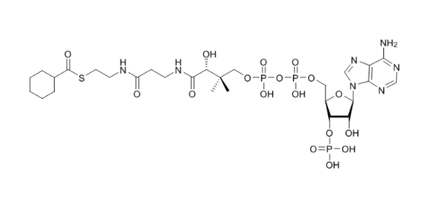 环己酰辅酶A（钠盐）Cyclohexanoyl-CoA-sodium-salt 