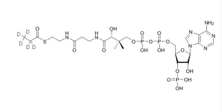 D5-丙酰辅酶A（钠盐）D5-Propionyl-CoA-sodium-salt