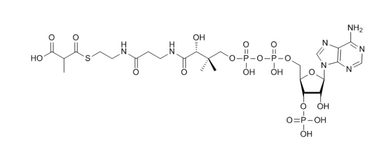 甲基丙二酰辅酶A（钠盐）methylmalonyl-coenzyme A 1264-45-5