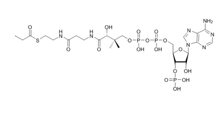 丙酰辅酶A（钠盐）S-propionylcoenzyme A 317-66-8