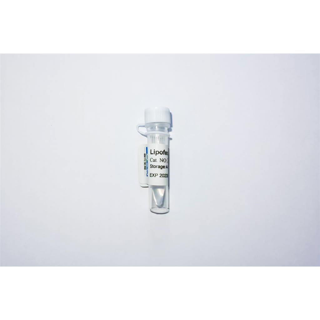 Lipofect5000质粒转染试剂Lipofect5000 transfection reagent