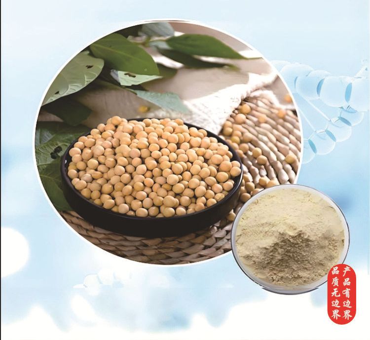 大豆低聚肽98% 大豆蛋白肽粉 300dal 大豆多肽 小分子肽 9000-30-0 可开票