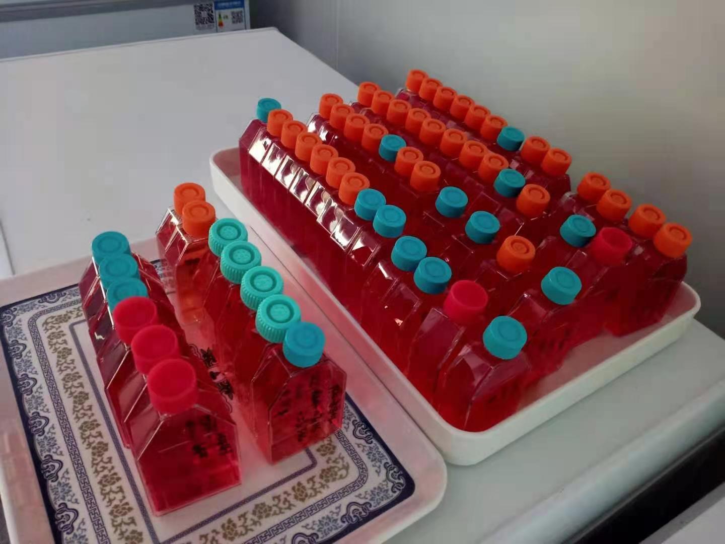 70b6bd5a933c0756a40c9c96a7110d6.jpg 70b6bd5a933c0756a40c9c96a7110d6.jpg