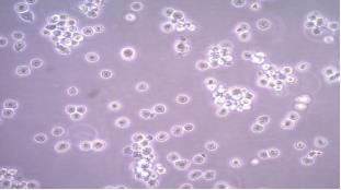 QQ图片20240822092542.png QQ图片20240822092542.png