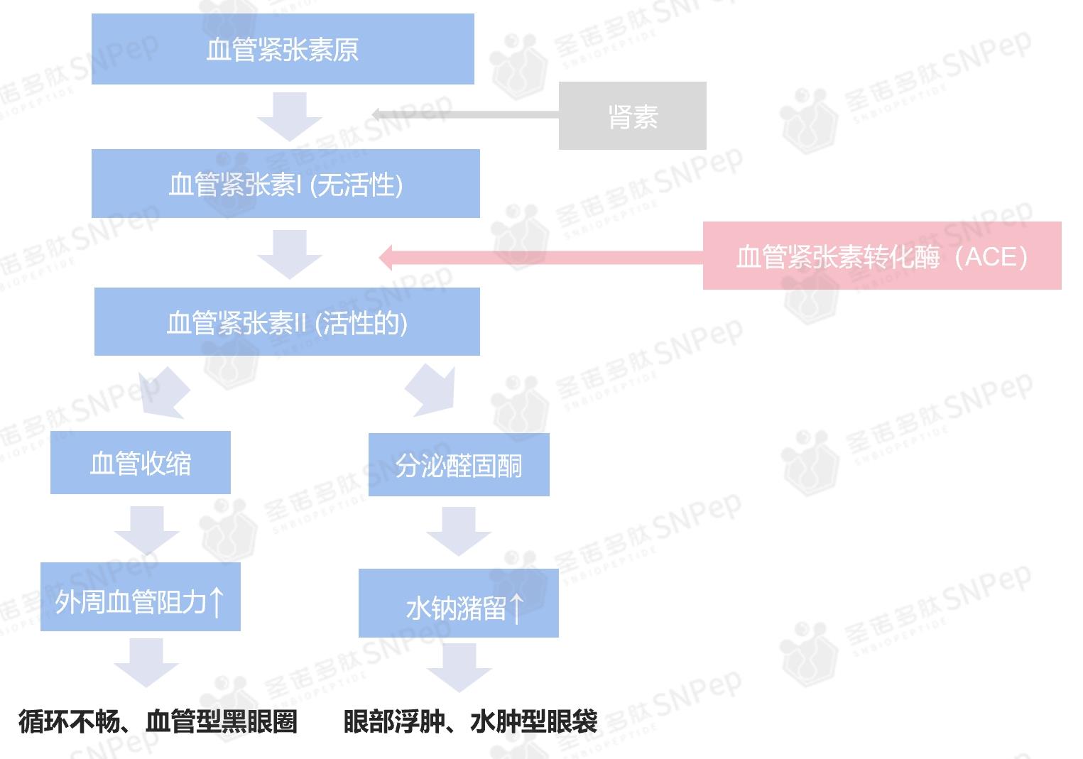 微信截图_20240823095137.png 微信截图_20240823095137.png