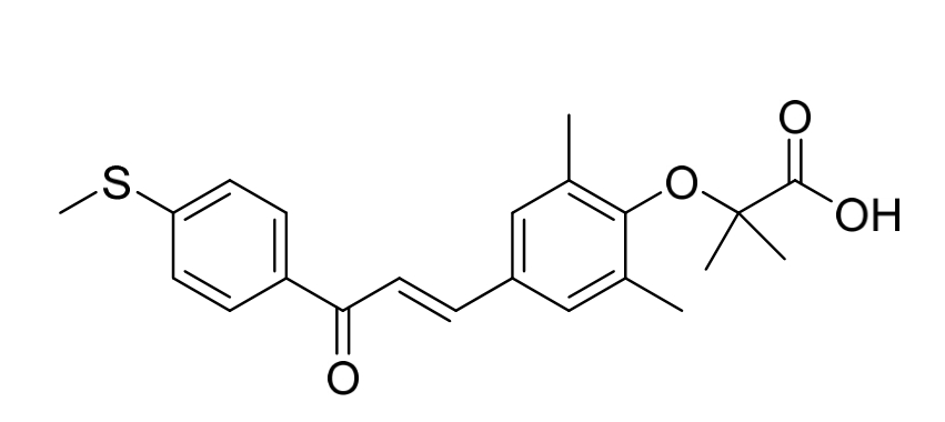 GFT505（依非兰诺）