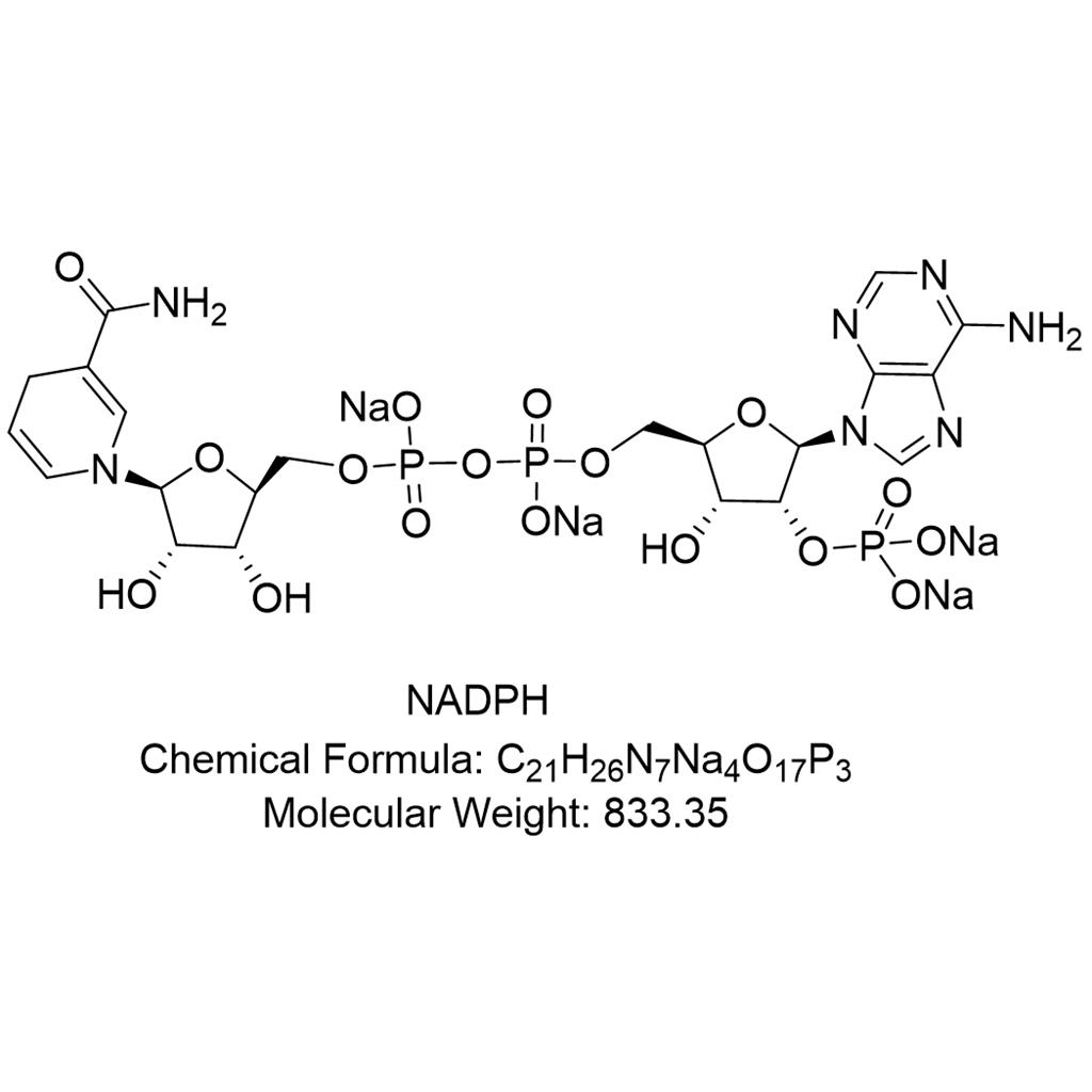 NADPH；还原型烟酰胺腺嘌呤二核苷酸磷酸(4钠盐)