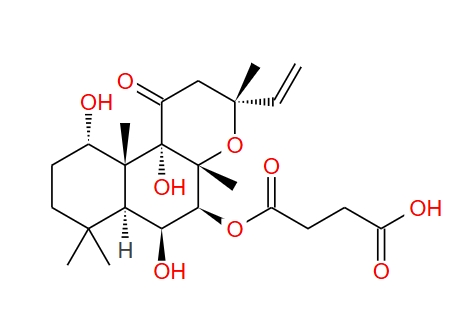 福斯高林7-O-半琥珀酰-7-脱乙酰基 83797-56-2