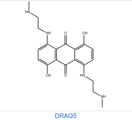 DRAQ5 活细胞DNA染料