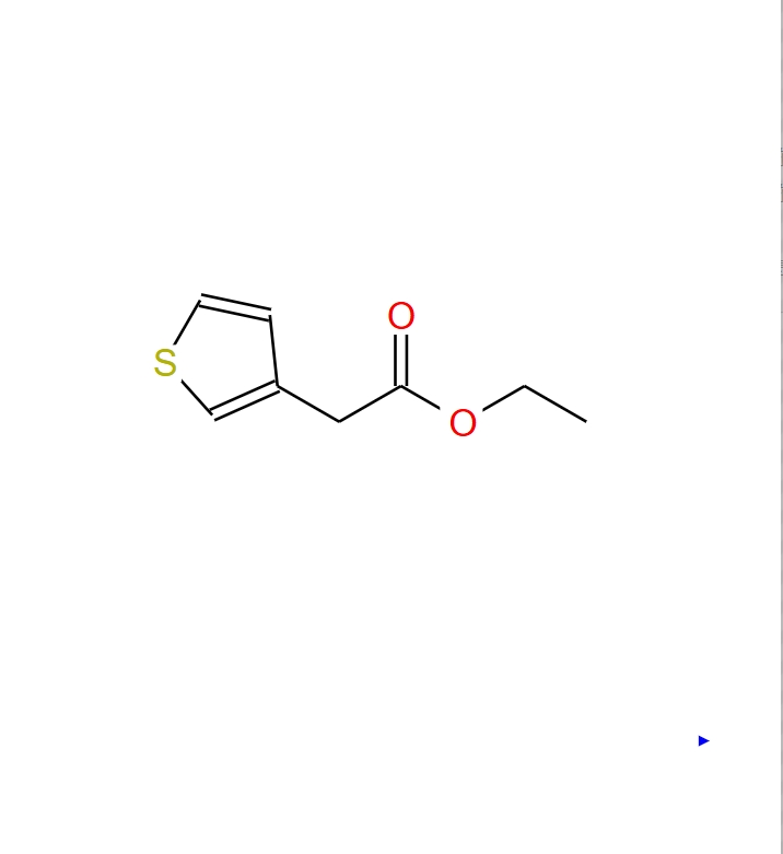 噻吩-3-乙酸乙酯 37784-63-7