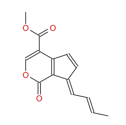 黄褐普鲁菌素