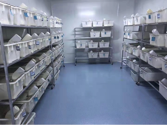 人Ⅲ型前胶原C端肽(PⅢCP)ELISA试剂盒