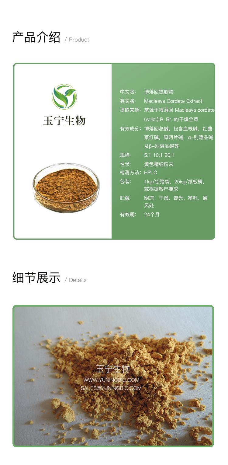 详情页模版_01 (6).jpg 详情页模版_01 (6).jpg