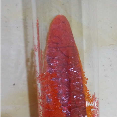 10294-70-9；碘化锡(II)