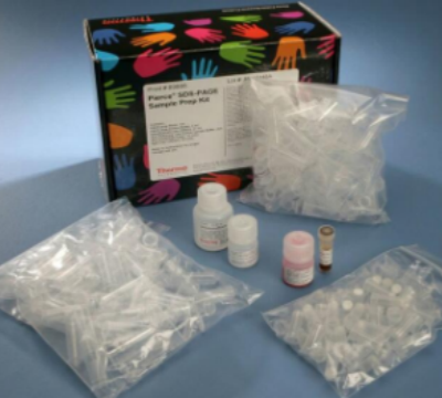 厚朴PCR鉴定试剂盒