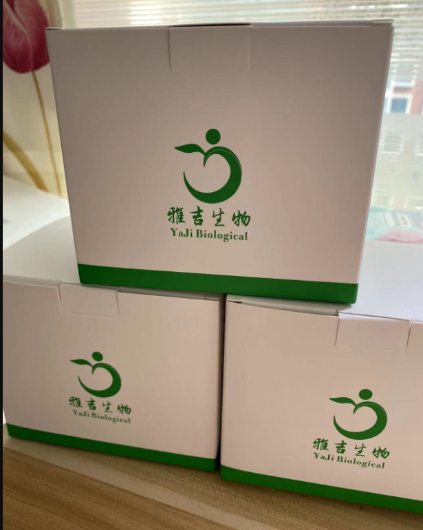 生孢梭菌（生孢梭状芽孢杆菌）PCR试剂盒