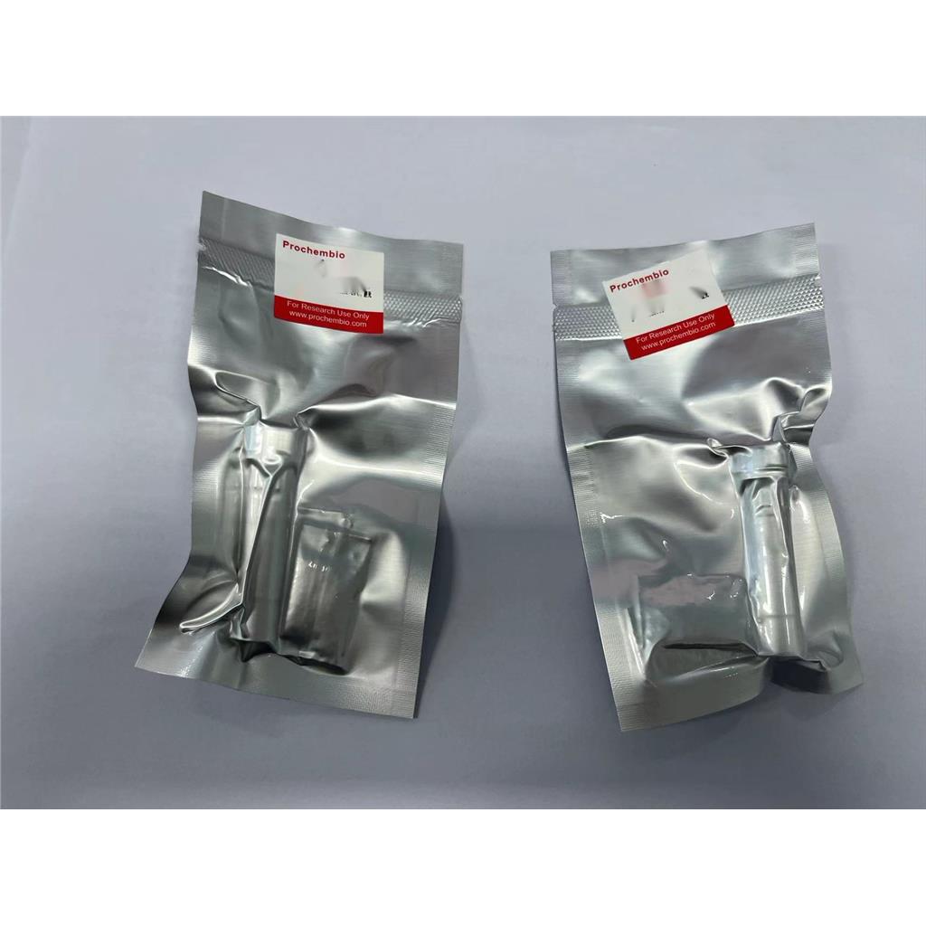 PLKG-Green核酸凝胶染料（功能同GelGreen）