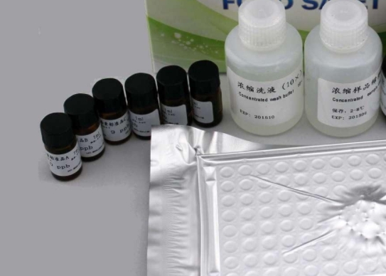 腺病毒PCR试剂盒