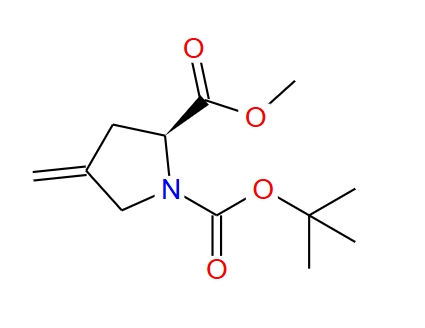 N-BOC-4-亚甲基-L-脯氨酸甲酯 84348-39-0